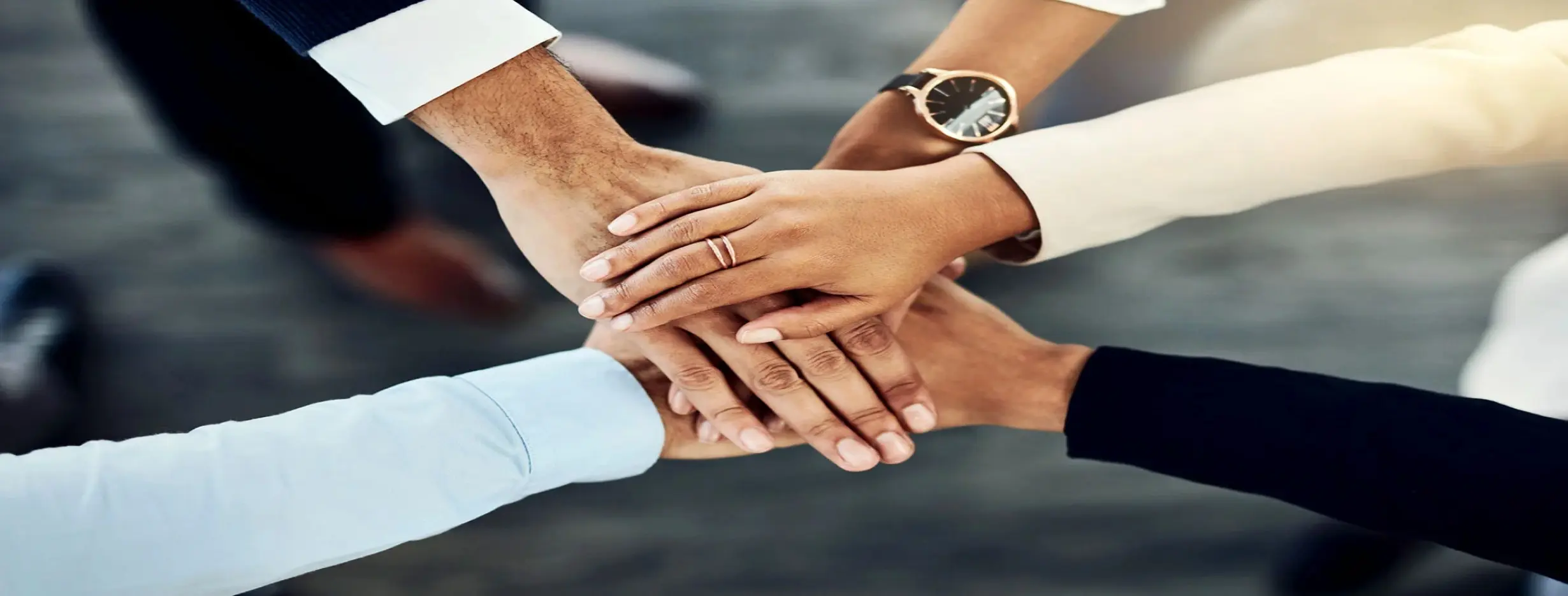 Image for Diverse Investments